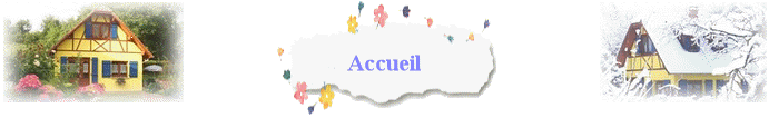 Accueil