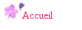 Accueil