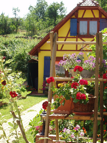 Echelle de fleurs devant le Gite en Alsace