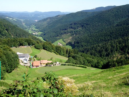 Route des Crêtes - Photo G.GUYOT - Gite en Alsace